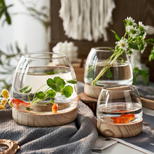 网红轻奢花瓶透明玻璃客厅插花摆件水培养绿萝铜钱草桌面生态鱼缸