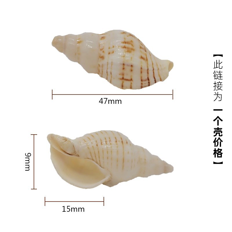 2cm 게에 적합한 보라색 X55 노란색 줄무늬 펜 달팽이