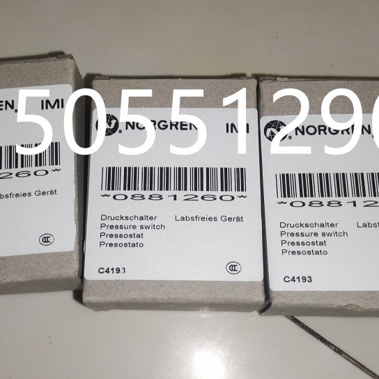 0881260诺冠082006125 R422002354 0258104004氧化锆sick 6086558
