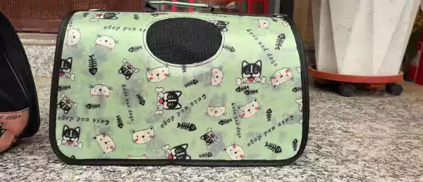 Green kitten