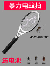 单层电蚊拍苍蝇灭蚊拍家用可换5号干电池式超强力电压果蝇蟑螂拍