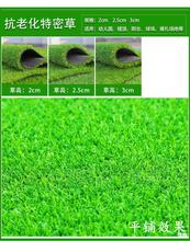 ����������ϲ�Ƥ�˹������bGֲ��̺�ٲ�Ƥ�Gɫ�׃��@�����ƺ