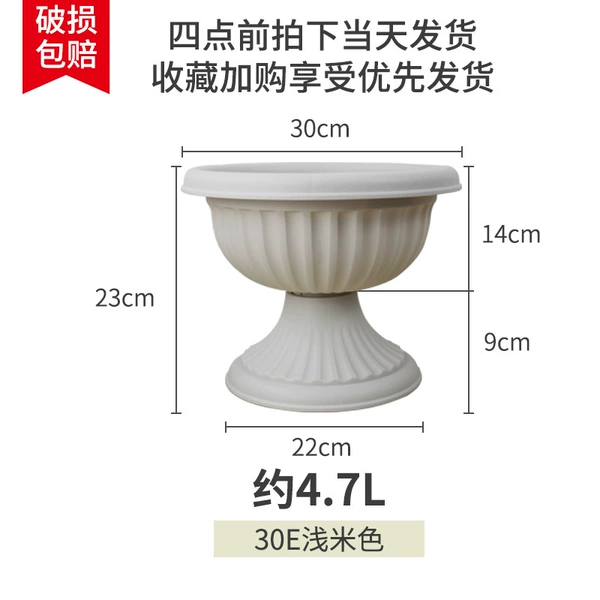 30E light rice