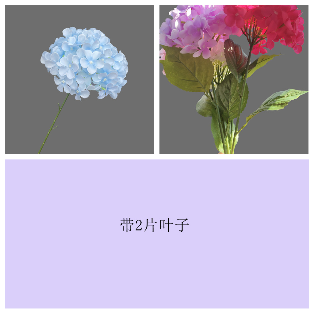 72개입 잎사귀 달린 하늘색