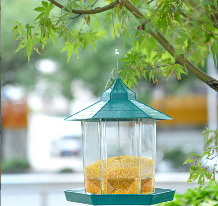 微信截图_20230609095008