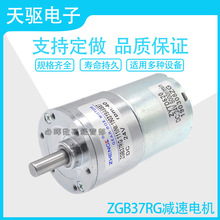 ZGB37RG 12V24VƫZYTD520ֱС綯