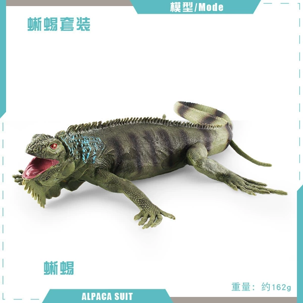 PL127-2616 Lizard 162g
