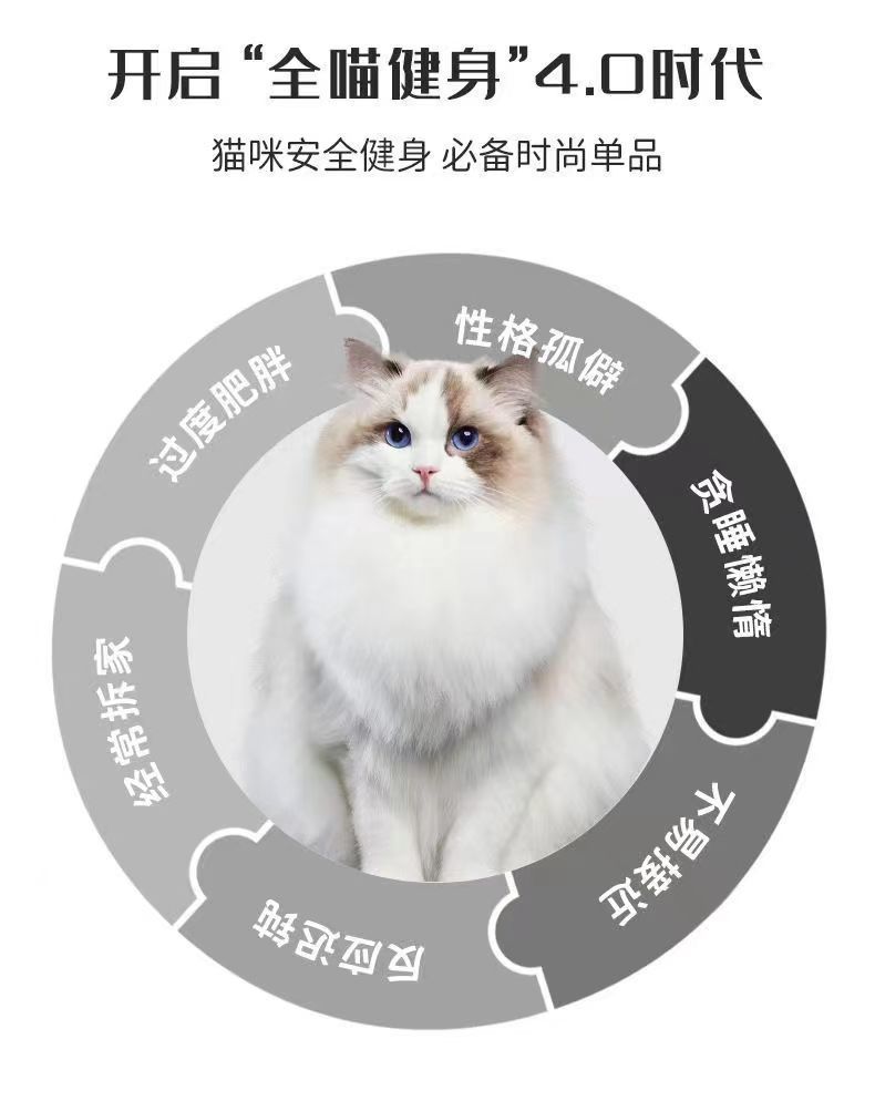 f1b5577f-24b2-47ff-bb9e-bb55c41c2f0c.jpe