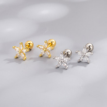 �羳���u���Ժ��s�ʯ������ ɭϵС���������r�ЌWԺ�L���Ʒ