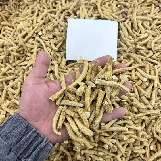 Canadian imports of American Ginseng Festival American Ginseng Section American Ginseng Leg Multi-specification Origin Wholesale