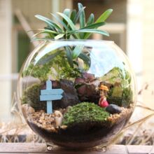 ����̦�\Сƿ ΢���^�쾰ƿ ����YƷ�Y��ֲ�������ܰС��