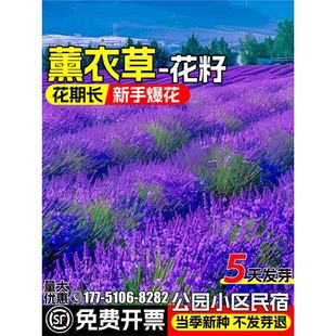 ޹�²ݻ����ļ��_������ͥԺ�e�����Ի��ܷN�����ֲ���̨���N��