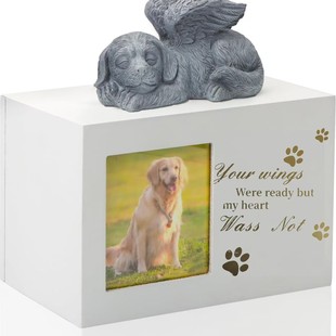 Wooden Keepsake for Cats and Dogs-White Funeral Cremation Box with Photo Frame, Memorial Gift for Lost Cats or Dogs