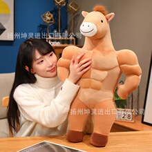 �R�ꄓ���ּ����R����ë�q����������ѱ���Ů����������ż