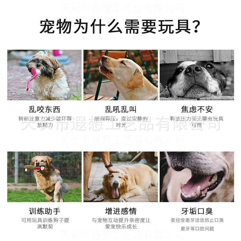 O1CN01TkHY2M2C6F7yqHXki_!!9340