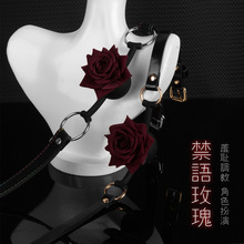 情趣sm口球硅胶情趣口塞情调趣口枷另类夫妻性爱辅助用品可代发