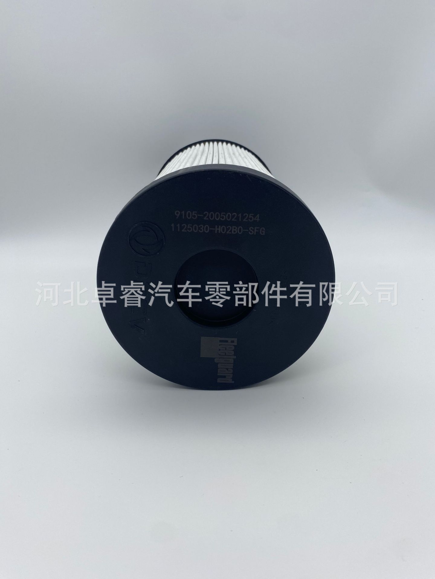 Source Manufacturer Spot Supply Car Filter 1125030-Ho2B0-Sfg Tianlong Flagship Cannon Filter Element