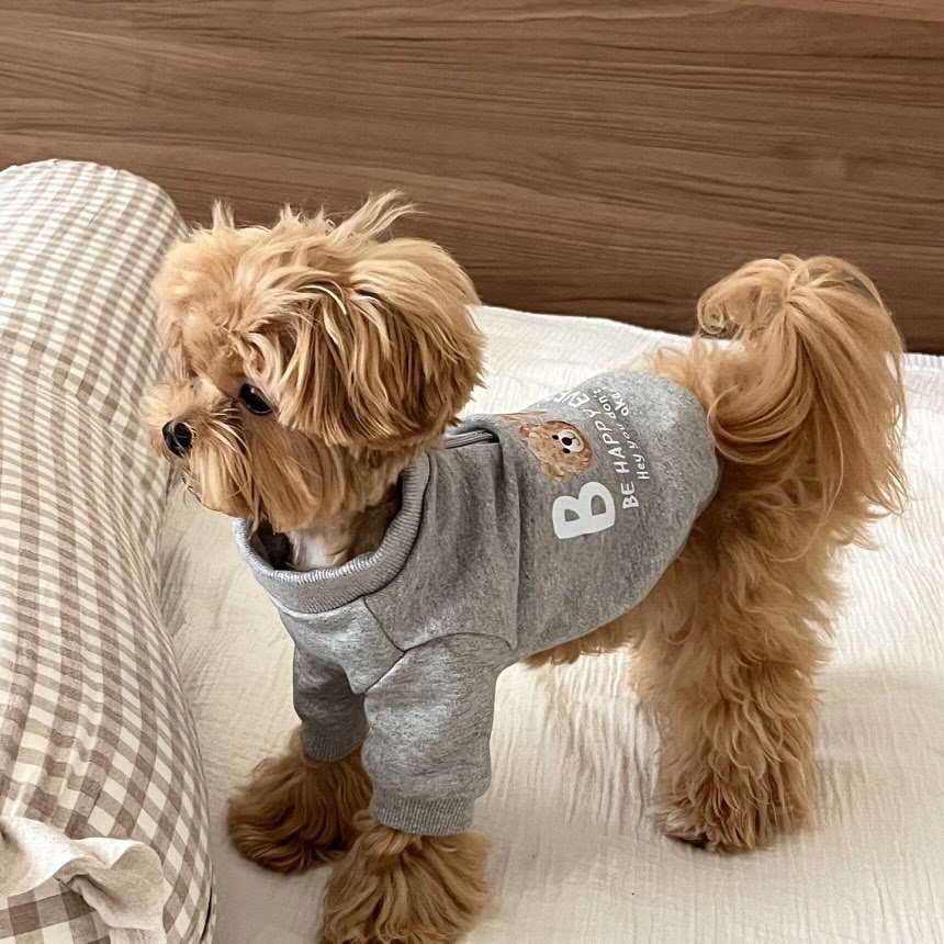 강아지 고양이 겨울 곰돌이 후드 조끼 티셔츠 소형견 테디 반려동물 의류