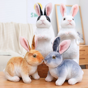 �羳�Q����������ӹ���ë�q��߿ɐ�С������ż��ͯ�����޶Y��