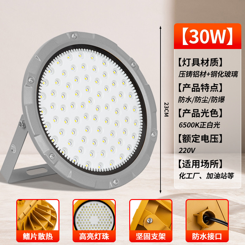 [그레이 라운드 EX 방폭등] 30W