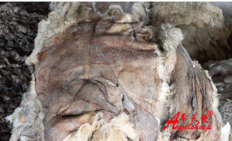 TB2VdU_aCOFJuJjSZFBXXaGxpXa_!!