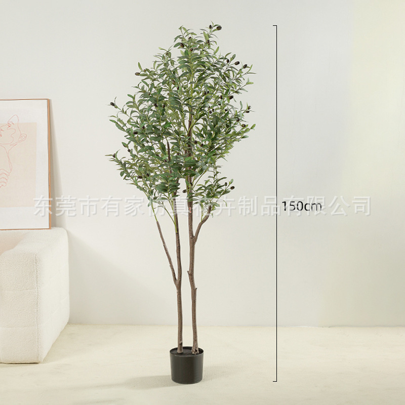 緑の植栽をシミュレーションして国境を越えてオリーブの木を着脱することができます。|undefined