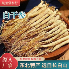 吉林白干参人参山参 东北特产生晒参泡酒煲汤一件代发厂家批发