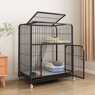 ؈�\�Ӽ����҃�؈�C������һ�w�������ɿ��g؈������؈�e�����Ƅ�