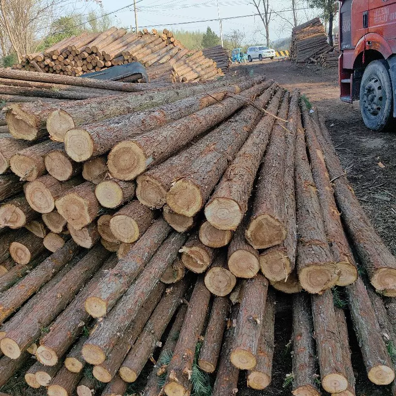 原产地批发杉木桩河道三角木桩园林树木原木杉木杆支撑原木木桩