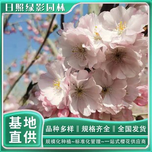 8���֪��ѻ�������ُ�I ����������Xһ��