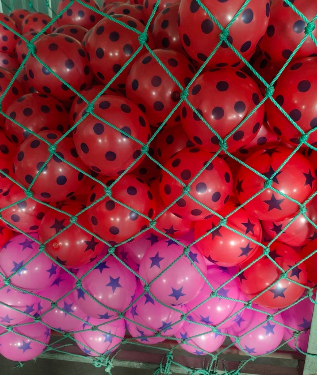 QQ图片20230821115949