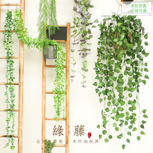 �Ҿ��׃��@ֲ��ǲ����bGֲ���~�����ٗl�����ْ�ڻ��h��