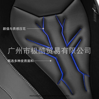 Model Ae4Se+Ae4Maxae4Pro Electric Motorcycle: Electric car cushion