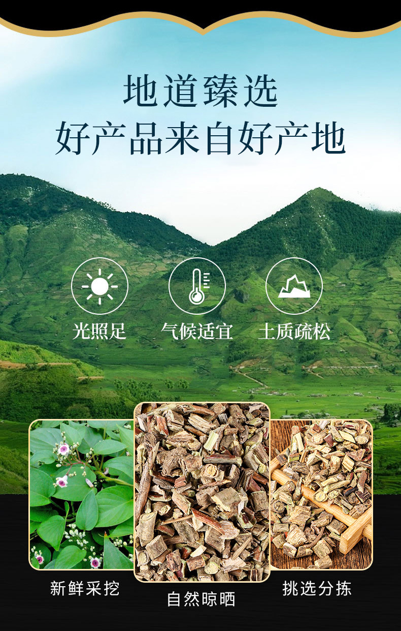 Ji Shi Teng Powder (Paederia scandens) — Traditional Food Herb Powder, 500g overview