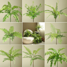 ~ӾG~ָܛz˹~ާ~ӼҾbGֲb쾰