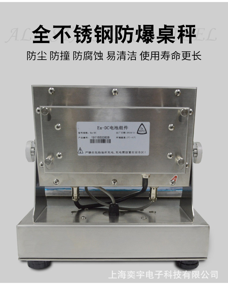 防爆电子秤