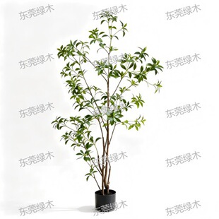 Artificial Pieris Japonica Tree �R��ľ�����