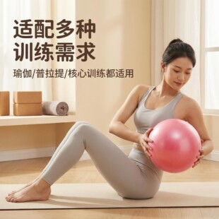 ������С���w�ٷ�����Ů25cm�����٤С������N���٤��������