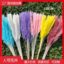 С�JȔ���m��Ȕ��β�� �ɻ�������Ȼ�滨�L��ins�Ҿ��b[������