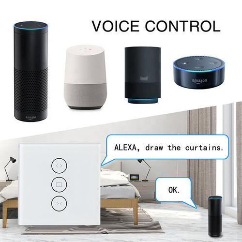 Factory Doodle WiFi+Bluetooth Dual Mode Alexa Voice Control Smart Touch Euro Standard Curtain Switch