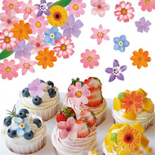 �羳���N�¿�Ŵ�׼�����������С����ʳ�õ����b���Ŵ�׼�