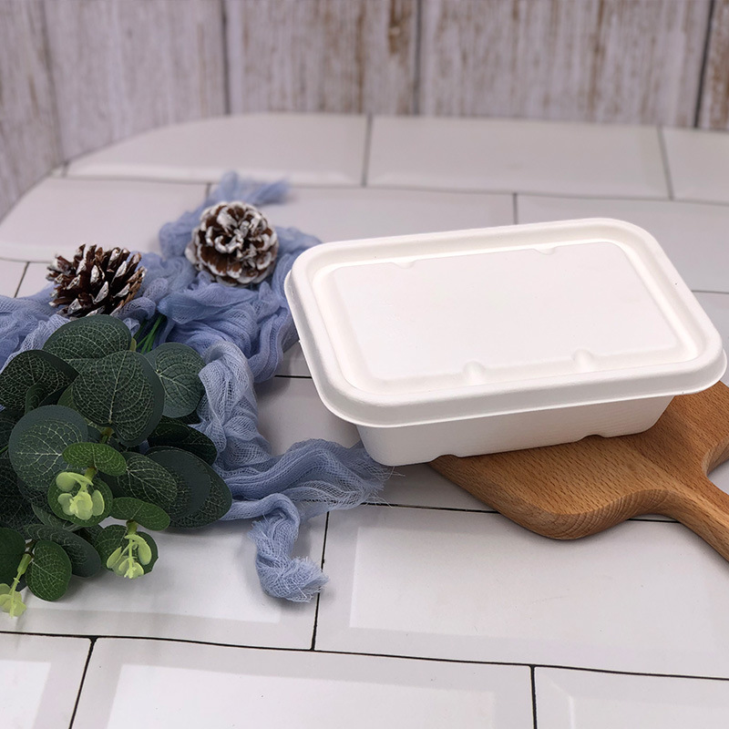 Caja de embalaje desechable Jun de caña de azúcar caja de almuerzo de pulpa comida rápida vajilla cuadrada degradable caja de embalaje de alimentos ligeros