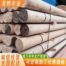 �Ž�����ľ�Fɼ�A���Fɼ����ľ�Fɼ�Aľ�Fɼ��ľ�¹�ľ����