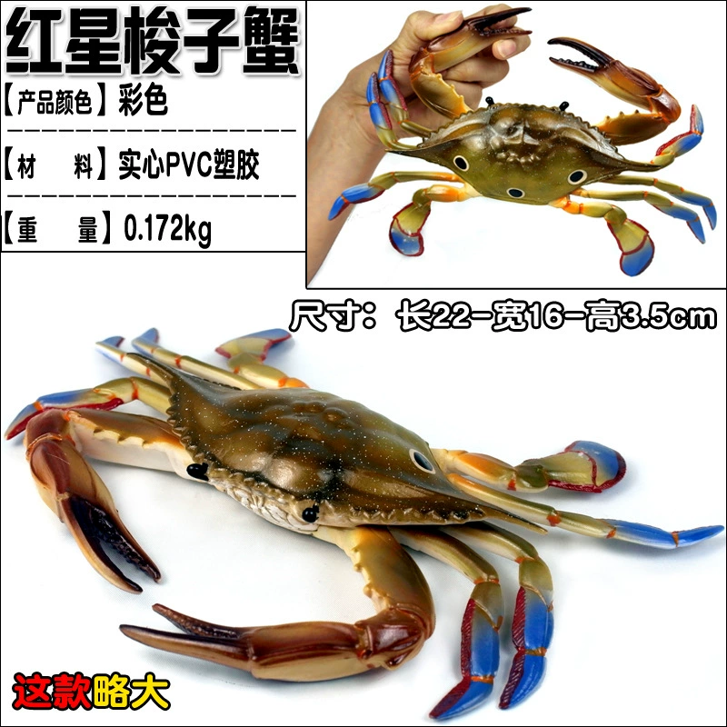 Игрушка, большие морские когнитивные украшения