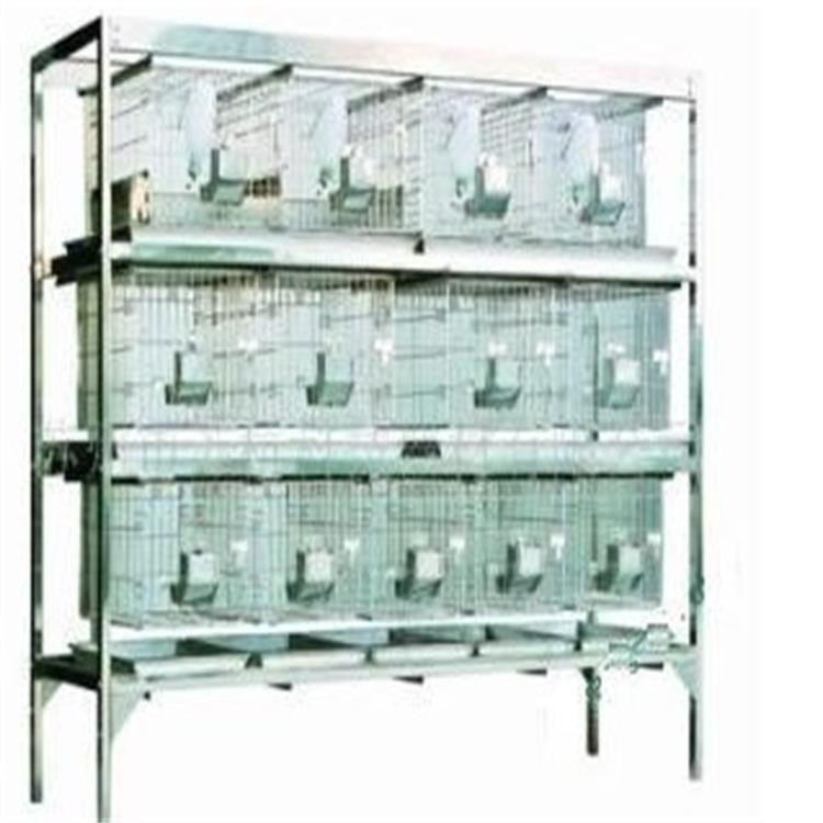 干养兔笼-不锈钢干养式实验兔笼 型号:RB35/3*5库号：M131361