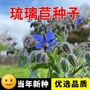 �����ķN���ļ��׷N����ֲ���ͥ�@ˇ�̨ͥԺ���Ի��Ѵ������N��