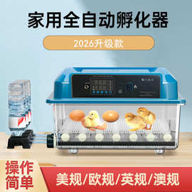 工厂源头 | 小鸡孵化器中小型孵蛋器保温箱鸡鸭鹅鸽孵化箱孵卵箱