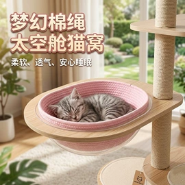收纳篮/筐;植物工艺品;花盆容器