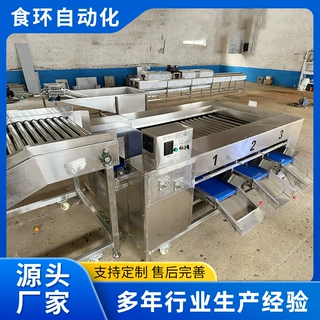 果蔬滚杠分选机 滚杠式大蒜千禧果选果机 土豆洋葱红薯分选机