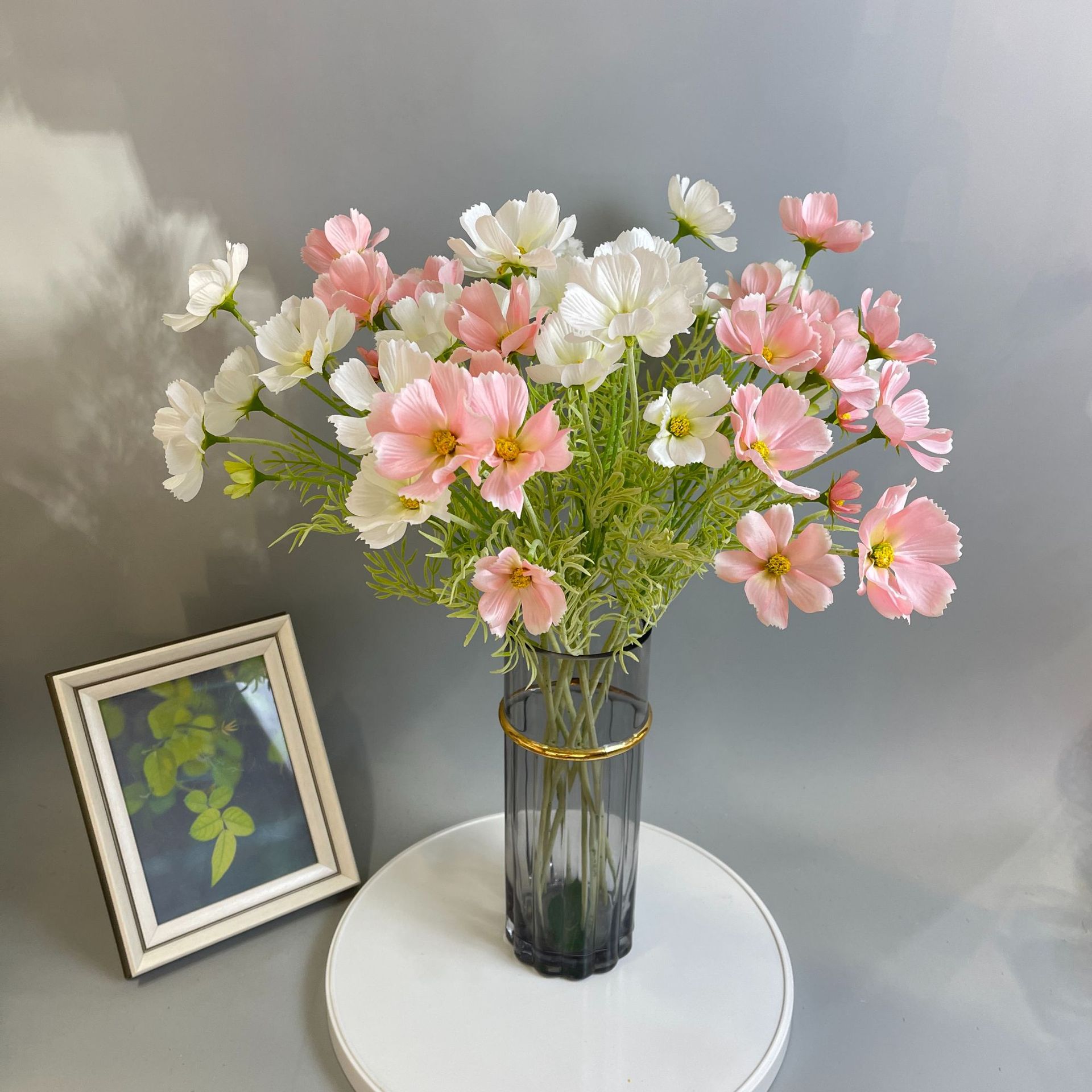 hmqViviiyNSAyin8WuaStzsR1pJff02PLGm+